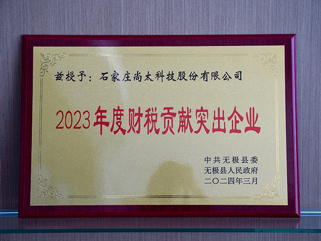 2023年度财税贡献凸起企业-县人民当局202403.png