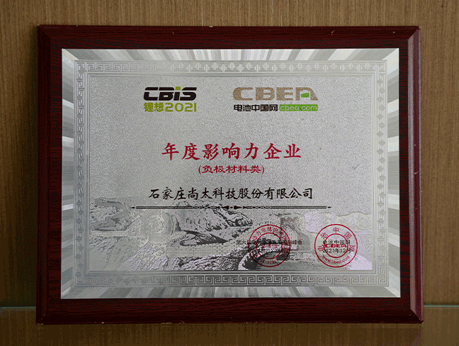 中国电池网-2021年杜装响力企业（负极资料类）.png